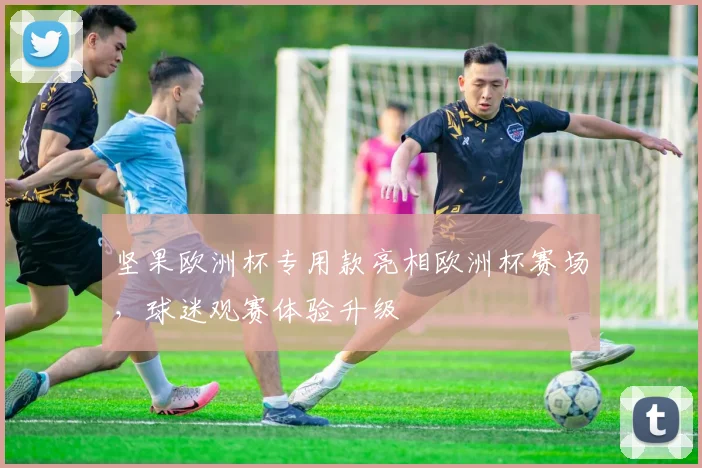 坚果欧洲杯专用款亮相欧洲杯赛场，球迷观赛体验升级