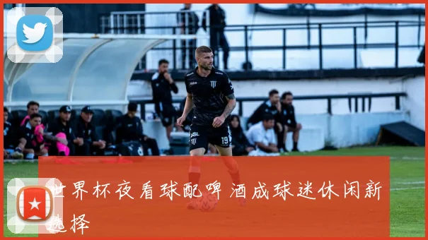 世界杯夜看球配啤酒成球迷休闲新选择