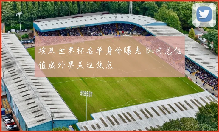 埃及世界杯名单身价曝光 队内总估值成外界关注焦点