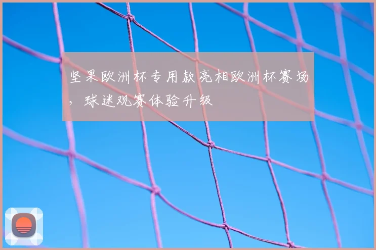 坚果欧洲杯专用款亮相欧洲杯赛场，球迷观赛体验升级