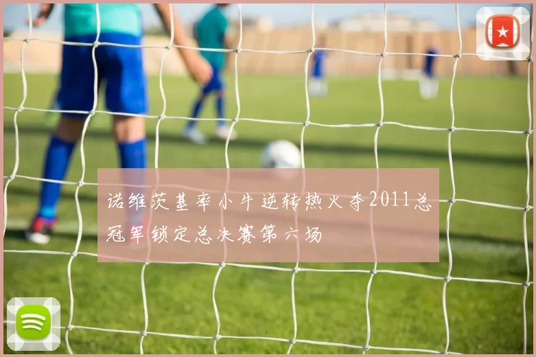 诺维茨基率小牛逆转热火夺2011总冠军锁定总决赛第六场