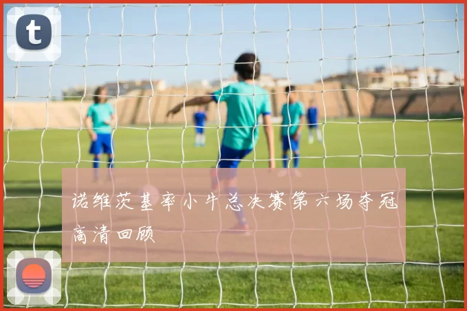 诺维茨基率小牛总决赛第六场夺冠高清回顾