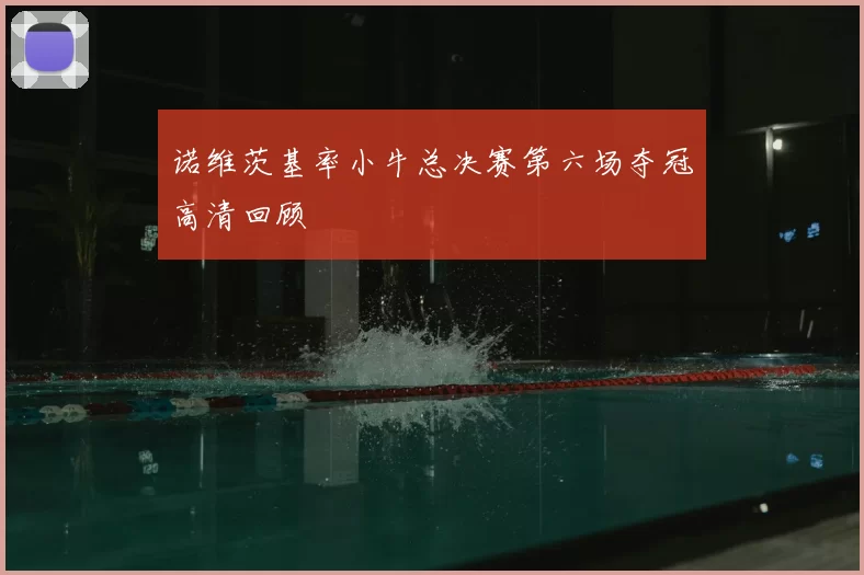 诺维茨基率小牛总决赛第六场夺冠高清回顾