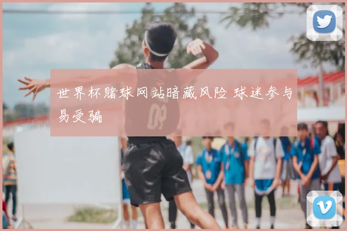 世界杯赌球网站暗藏风险 球迷参与易受骗