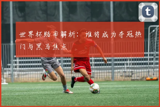 世界杯赔率解析：谁将成为夺冠热门与黑马焦点